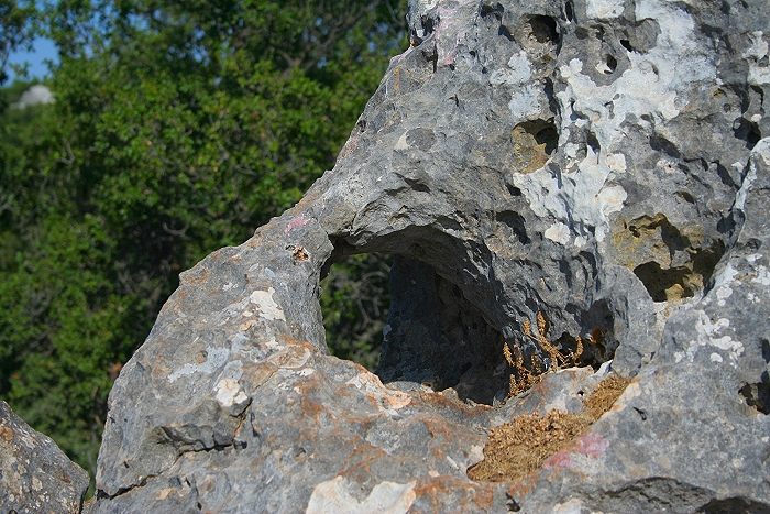 Rock hole