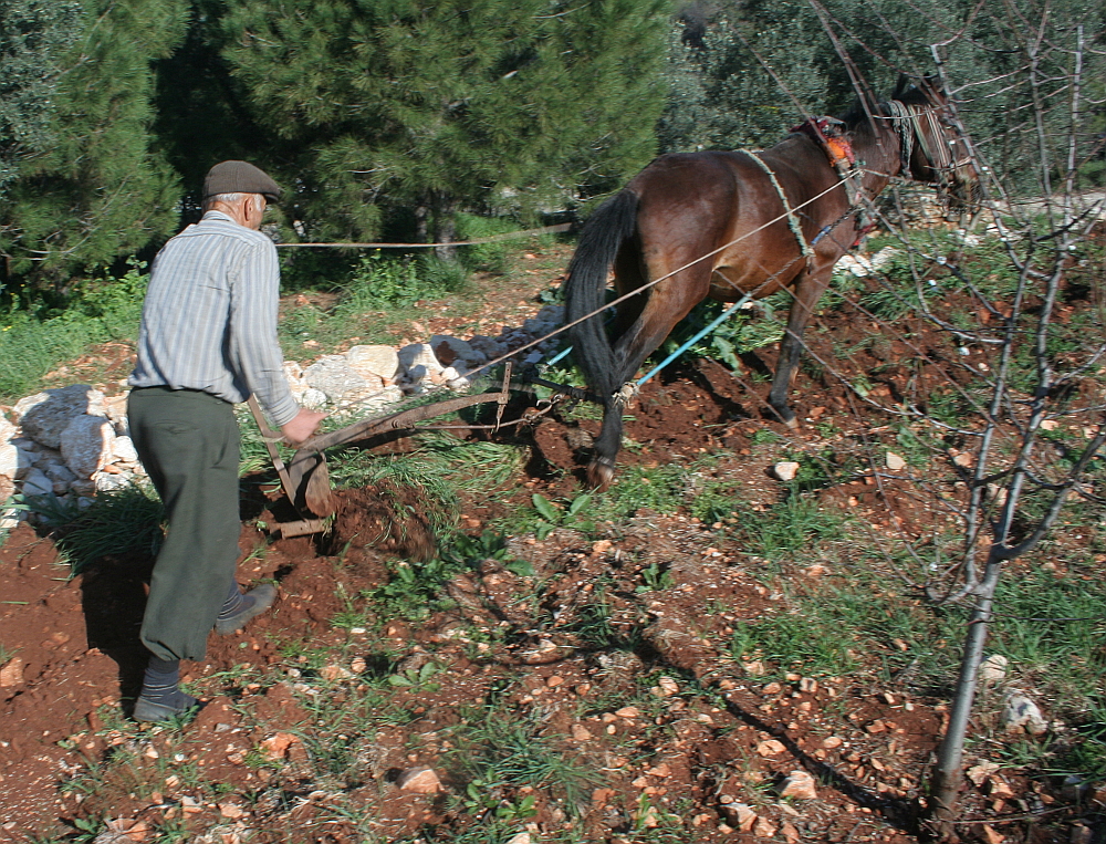 Ploughing 1